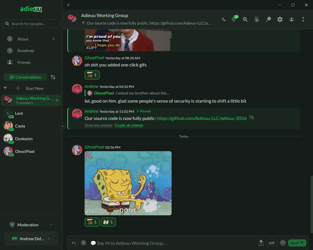 Screenshot of the Adieuu chat interface